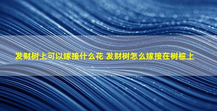 发财树上可以嫁接什么花 发财树怎么嫁接在树桩上